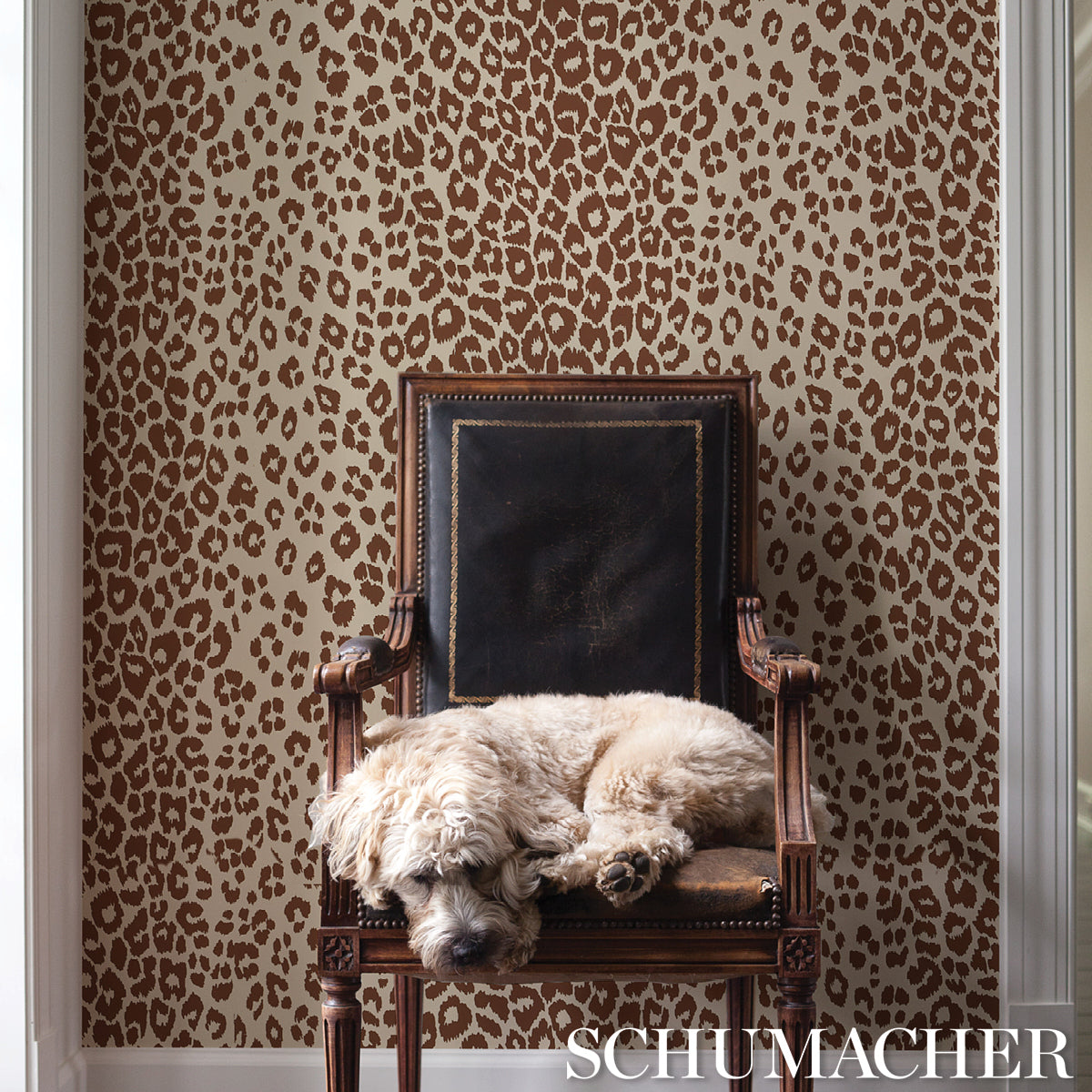 ICONIC-LEOPARD-BROWN-ON-NEUTRAL-SCHUMACHER-5007019