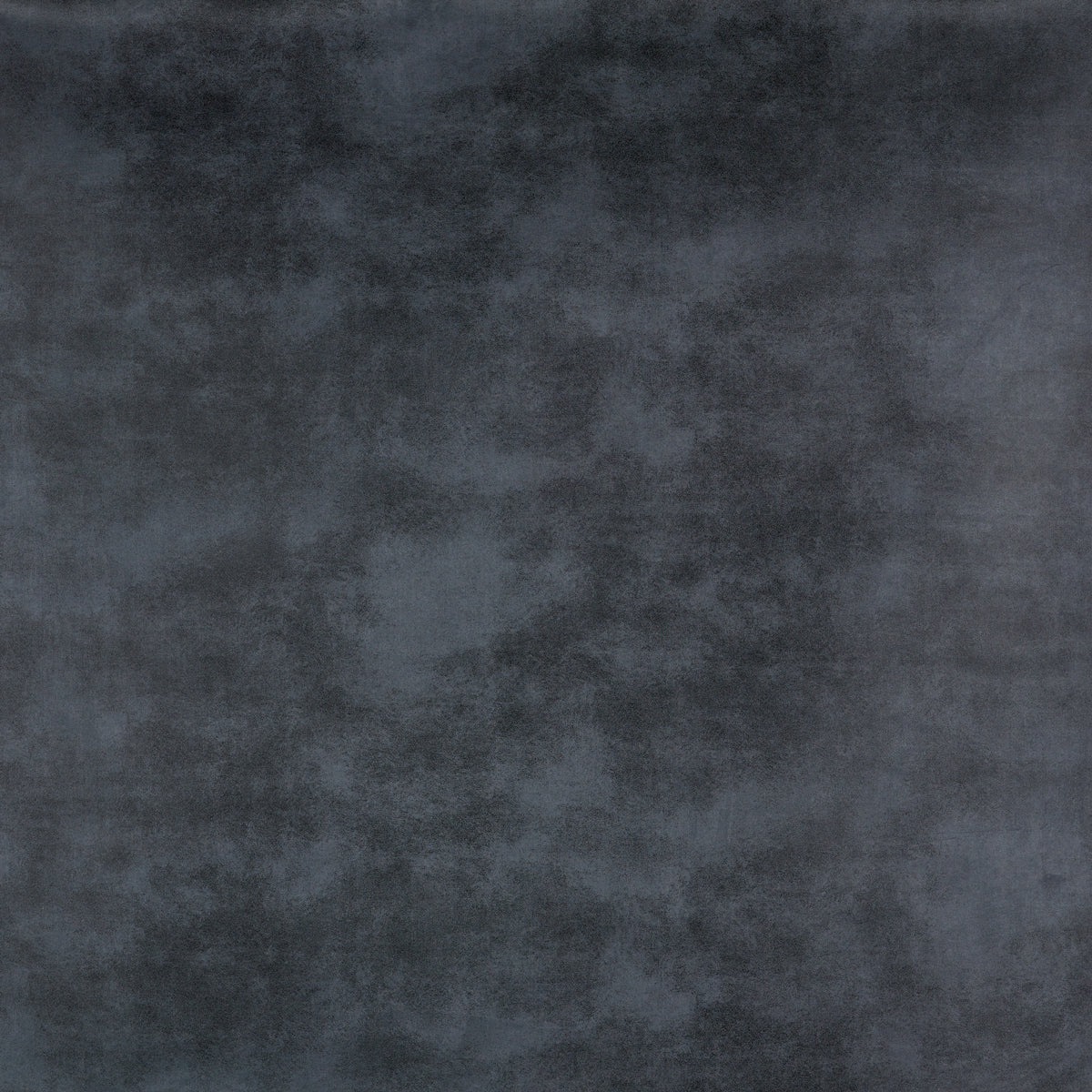 SUEDED-LEATHER-ASH-SCHUMACHER-5007390