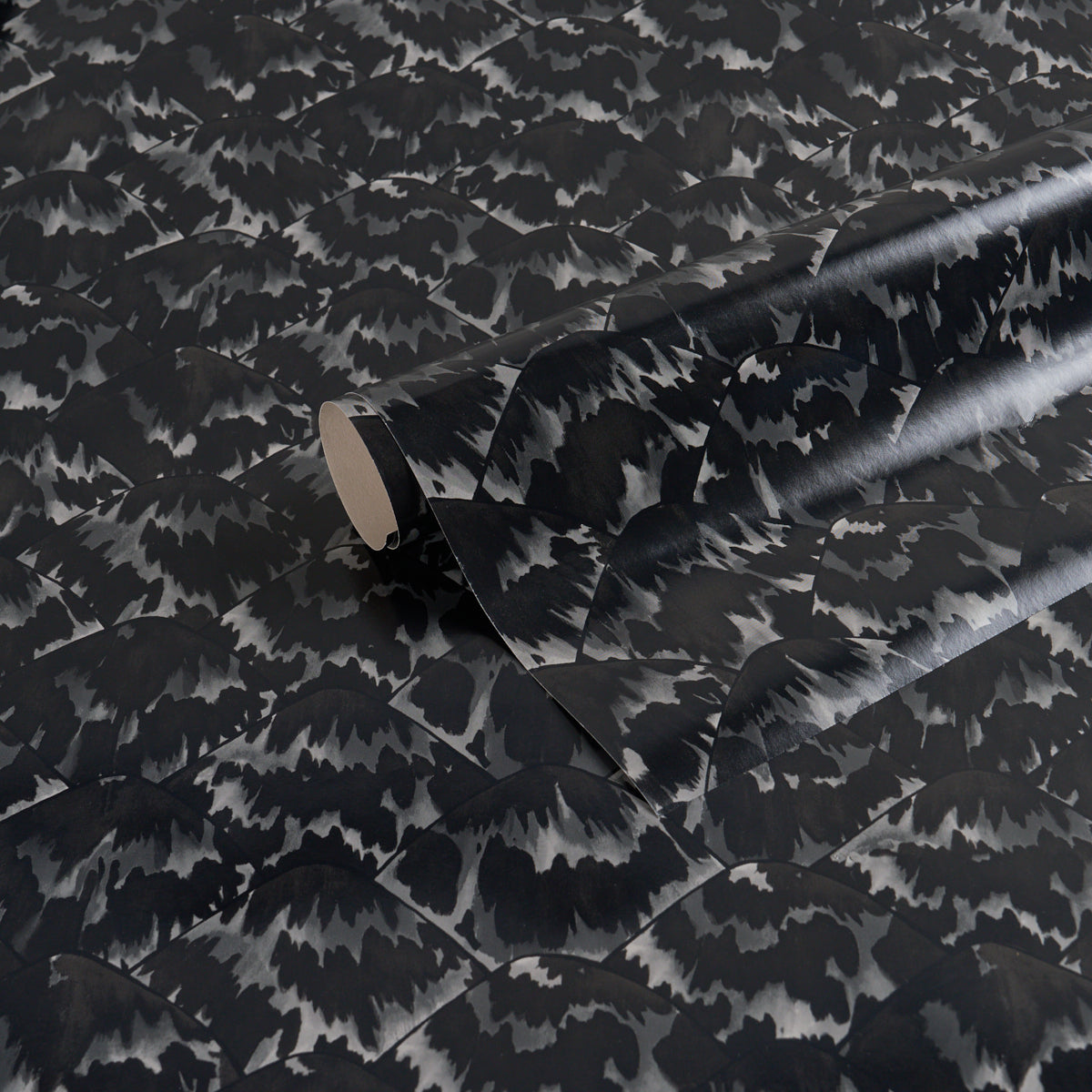 TORTOISE-BLACKOUT-SCHUMACHER-5007453