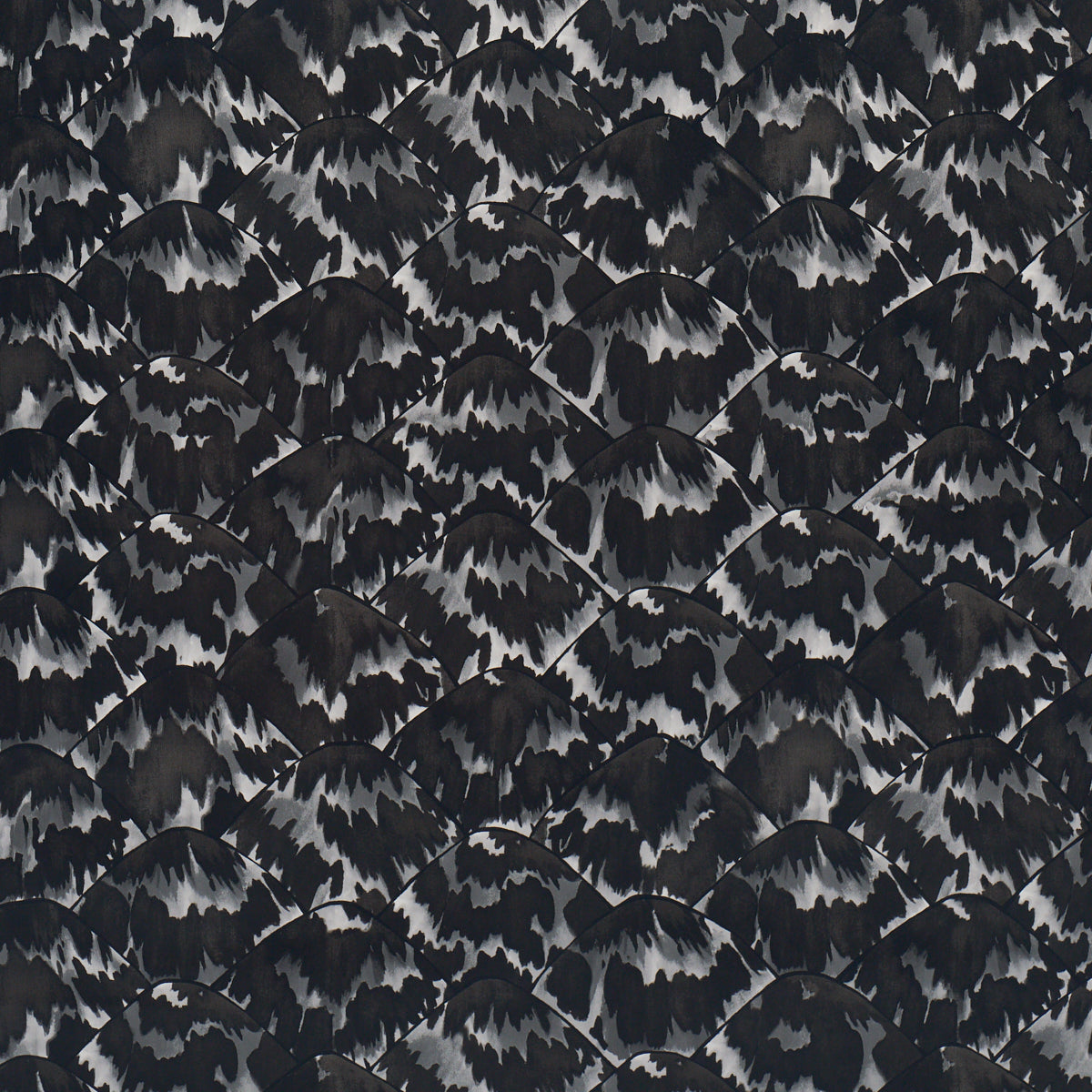 TORTOISE-BLACKOUT-SCHUMACHER-5007453