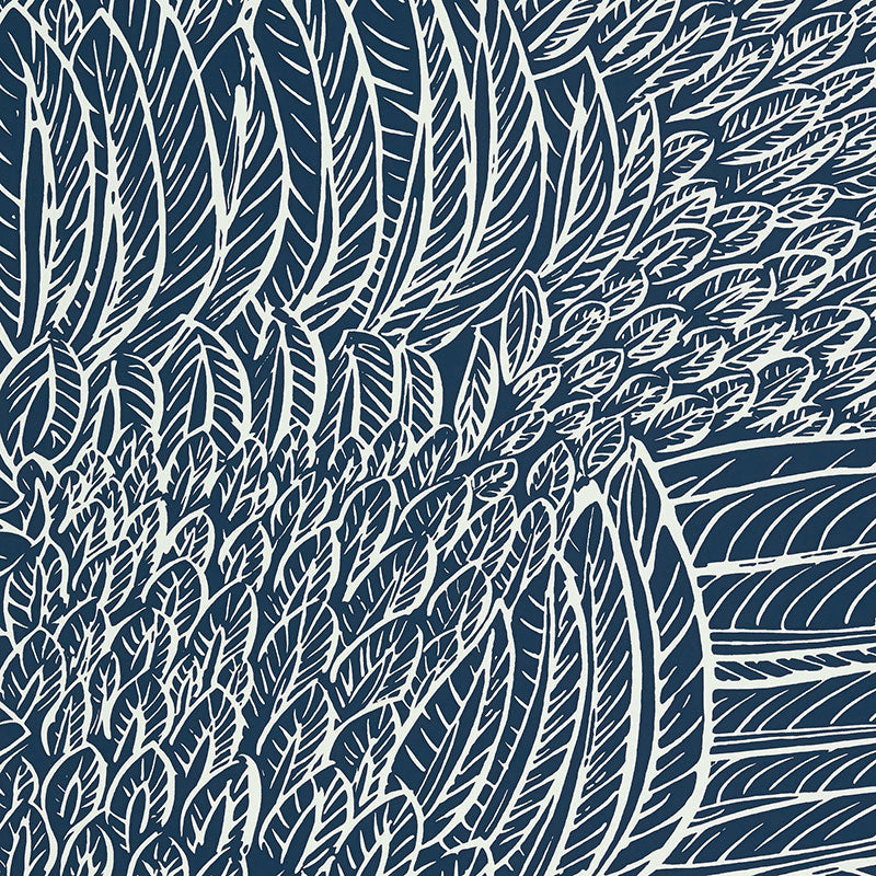 FEATHERFEST-MARINE-SCHUMACHER-5007565