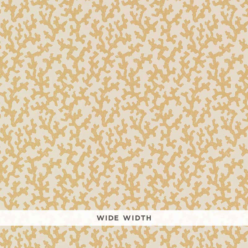 FOLLY-STRAW-SCHUMACHER-5008002
