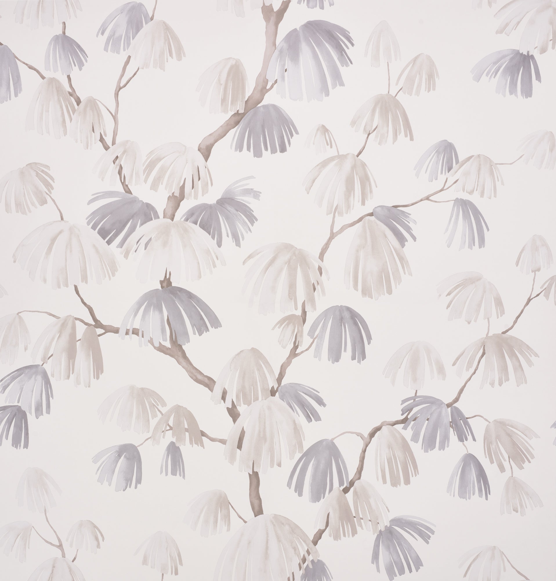 WEEPING-PINE-NEUTRAL-SCHUMACHER-5008330