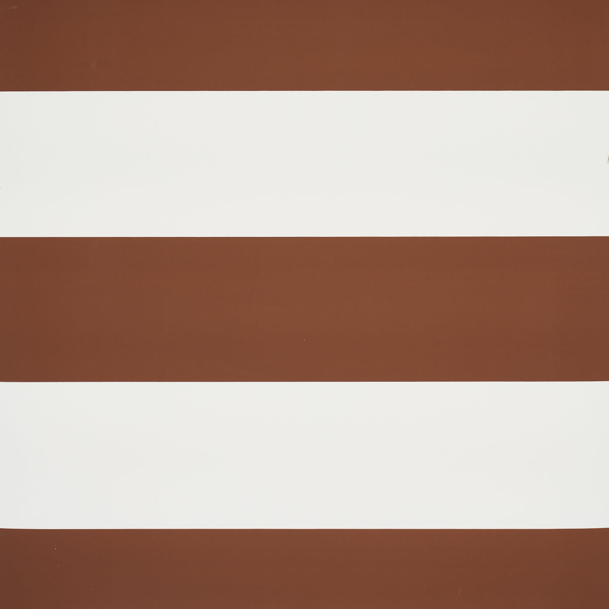 BAXTER-STRIPE-BROWN-SCHUMACHER-5008527