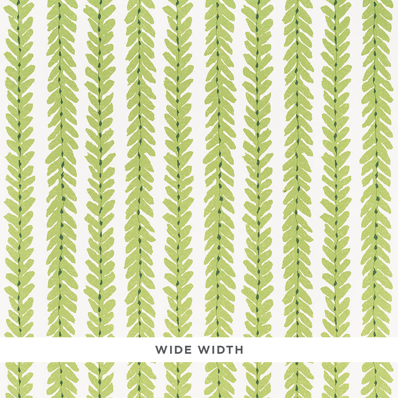 WOODPERRY-GREEN-SCHUMACHER-5008791