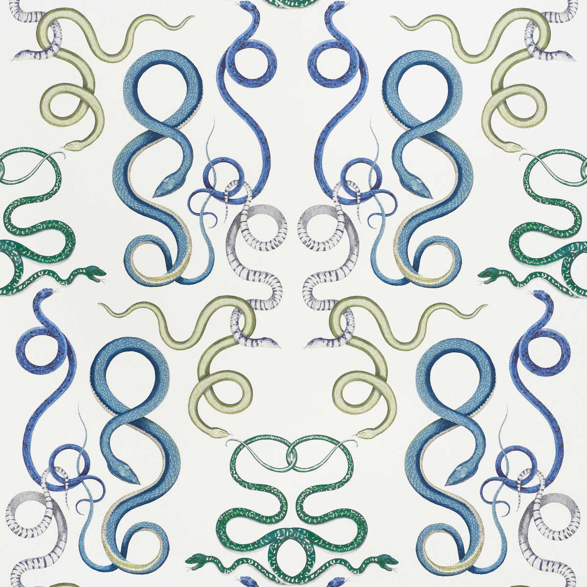 GIOVE-EMERALD-SAPPHIRE-SCHUMACHER-5009460