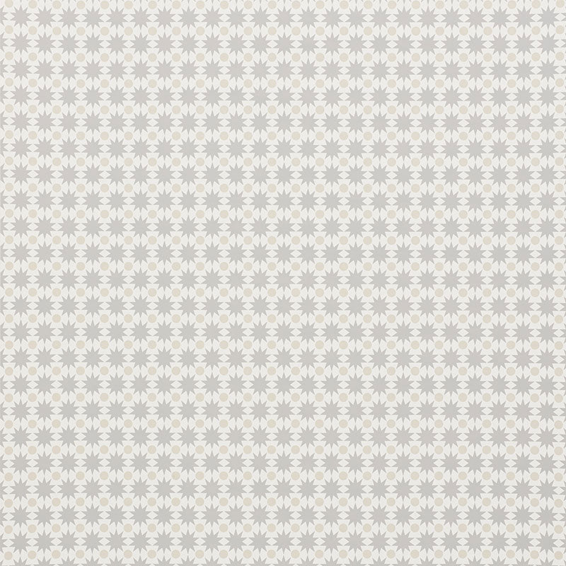 Cosmos Neutral wallpaper by Schumacher, 5009562 — view 2 - Schumacher Papel pintado