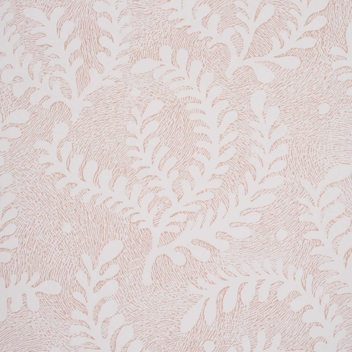 ETCHED-FERN-BLUSH-SCHUMACHER-5010384