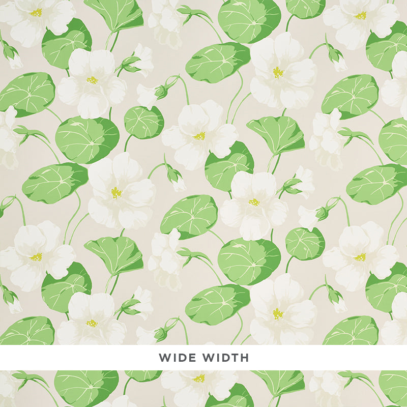 NASTURTIUM-STONE-SCHUMACHER-5010472