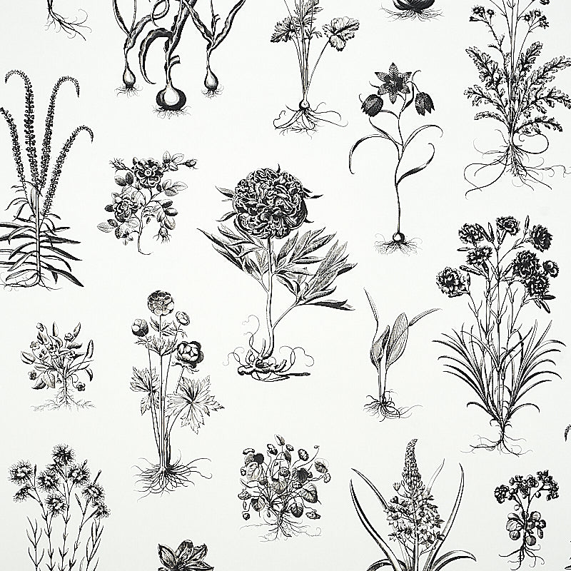 Cabot Botanical Large Ivory wallpaper by Schumacher, 5010640 - Schumacher Wallpaper
