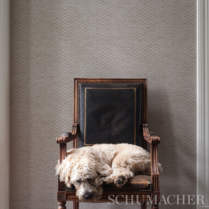 ABACO-LINEN-PAPERWEAVE-NATURAL-SCHUMACHER-5011290