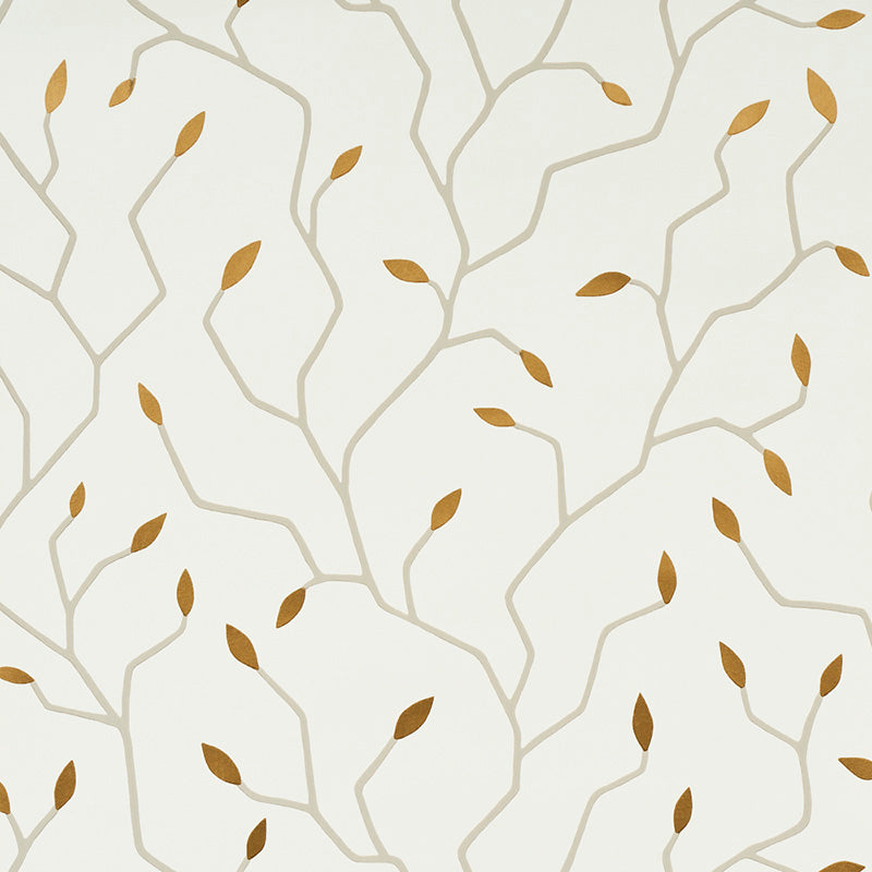 CYMBELINE-IVORY-GOLD-SCHUMACHER-5011380