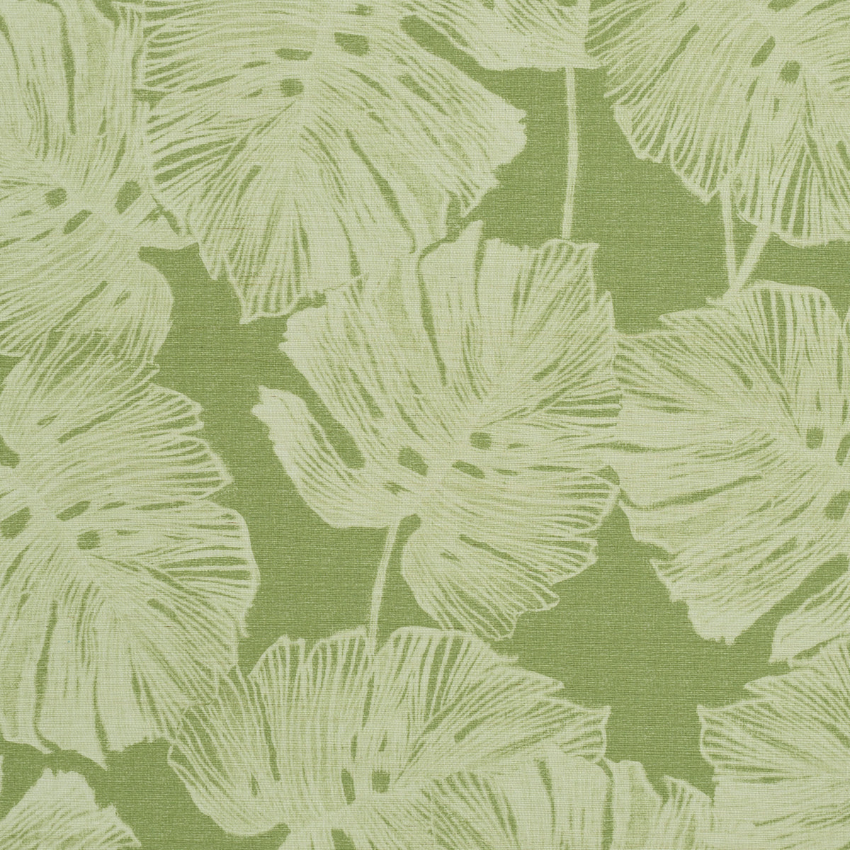 DEL-COCO-SISAL-LEAF-SCHUMACHER-5011640
