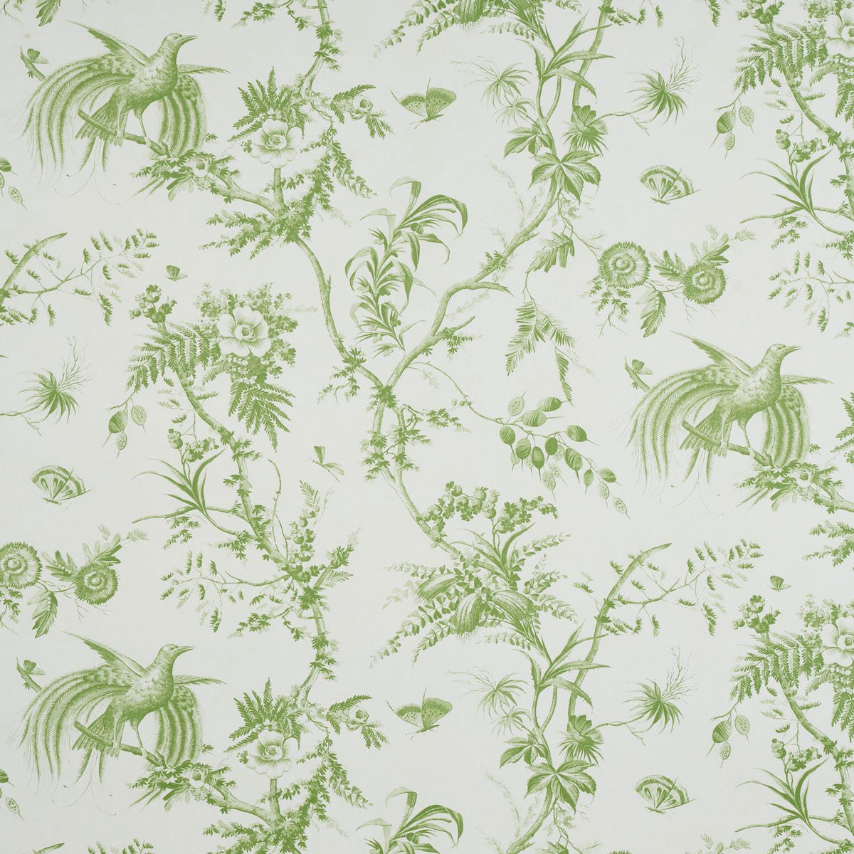TOILE-DE-LA-PRAIRIE-GREEN-SCHUMACHER-5011710