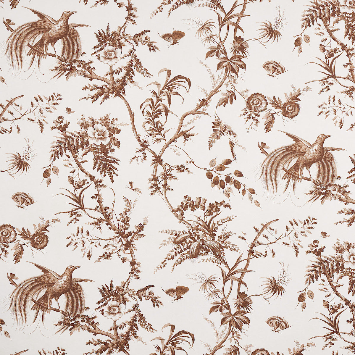 TOILE-DE-LA-PRAIRIE-BROWN-SCHUMACHER-5011712