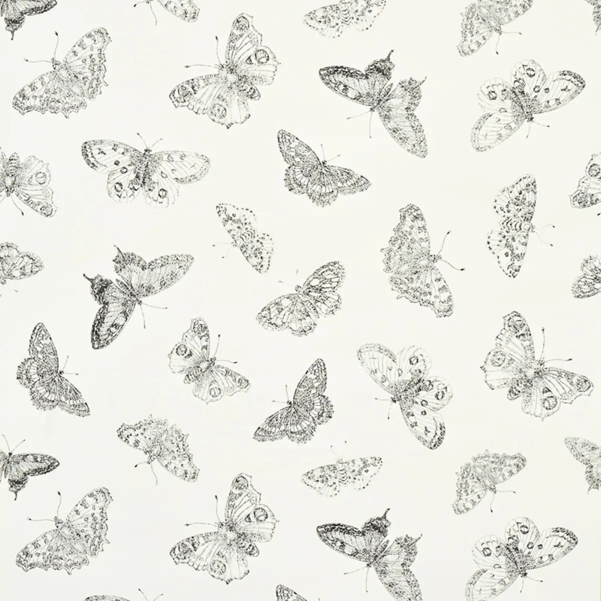 Burnell Butterfly - Ivory - Schumacher 5011740 Wallcovering - Schumacher Wallpaper
