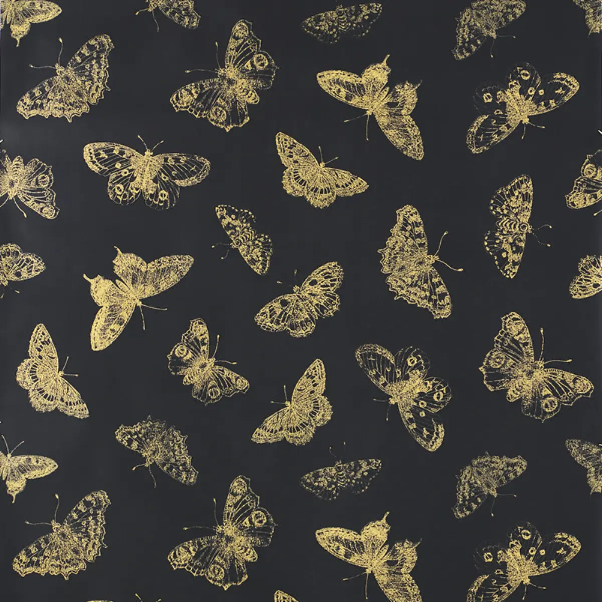 Burnell Butterfly - Black - Schumacher 5011742 Wallcovering - Schumacher Wallpaper