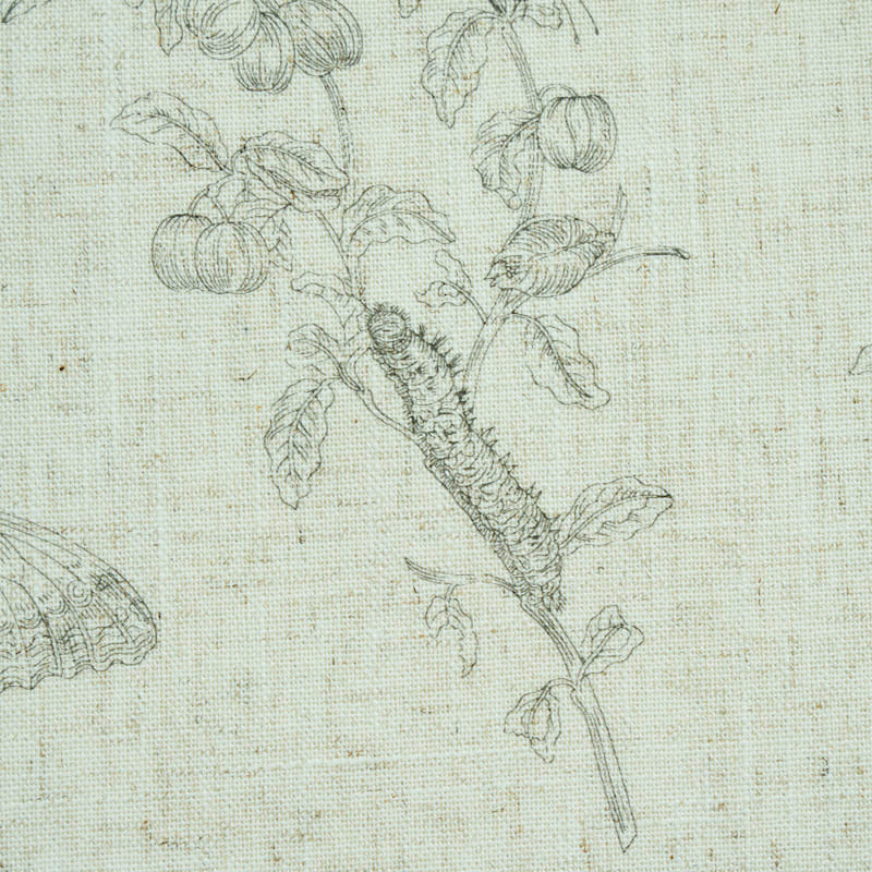 BAUDIN-BUTTERFLY-LINEN-BLACK-SCHUMACHER-5011830