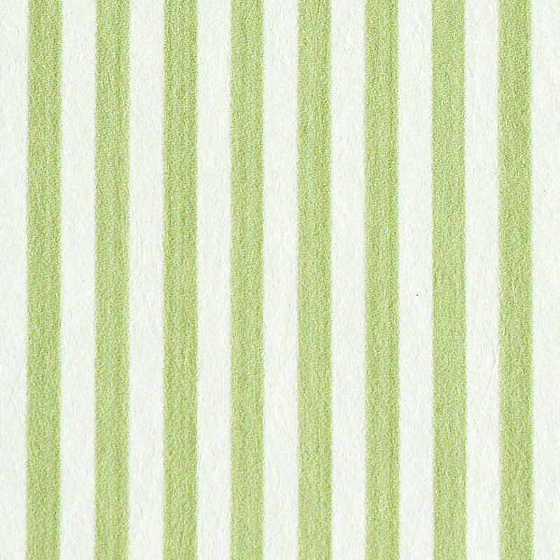 EDWIN-STRIPE-NARROW-LEAF-SCHUMACHER-5011869