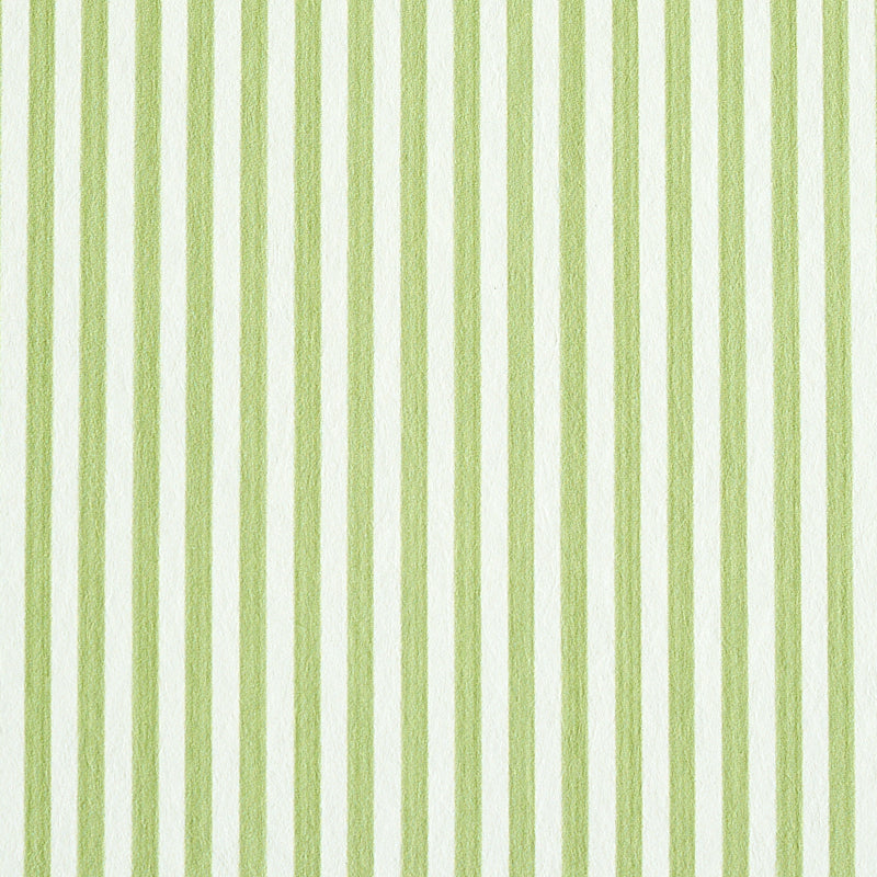 EDWIN-STRIPE-NARROW-LEAF-SCHUMACHER-5011869