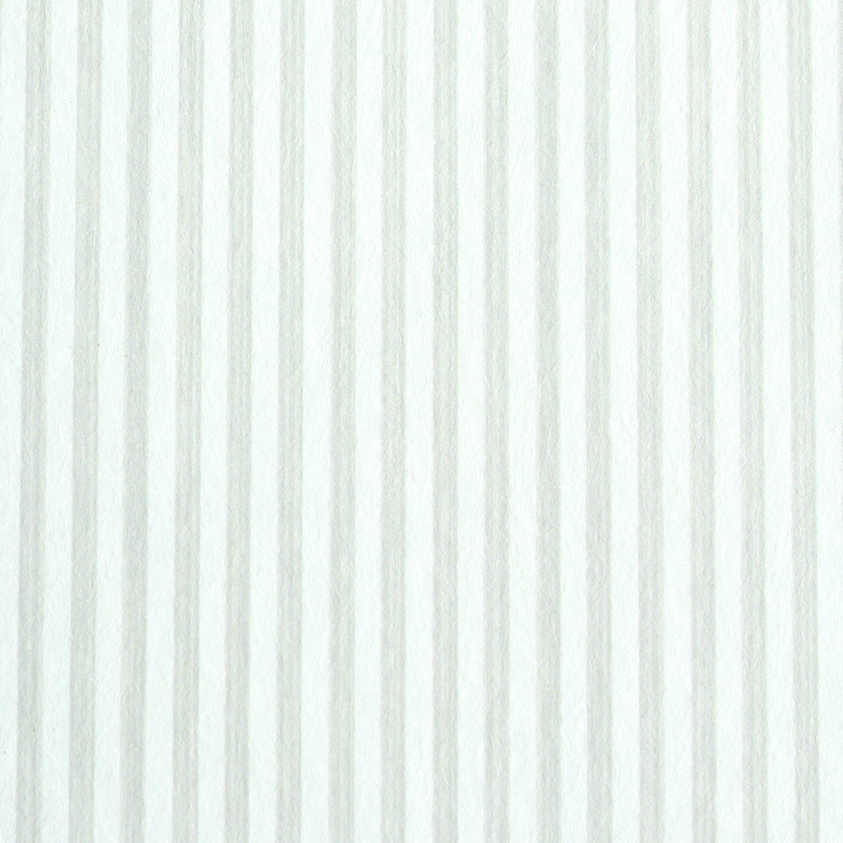 EDWIN-STRIPE-NARROW-BIRCH-SCHUMACHER-5011876
