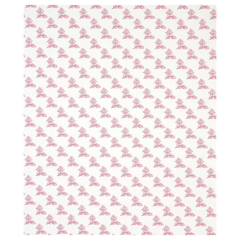 TORBAY-PINK-SCHUMACHER-5011922
