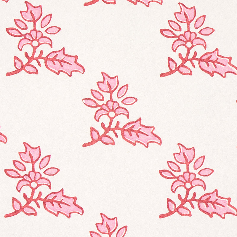 TORBAY-PINK-SCHUMACHER-5011922