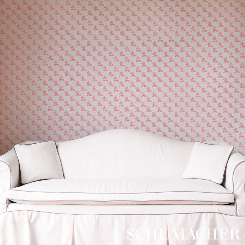TORBAY-PINK-SCHUMACHER-5011922