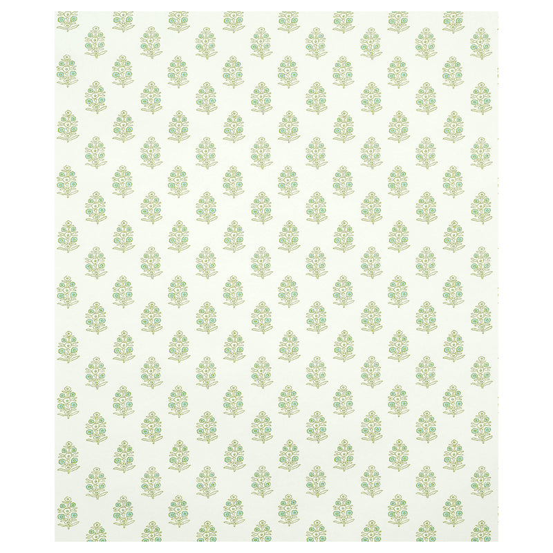 ADITI-GREEN-SCHUMACHER-5011931