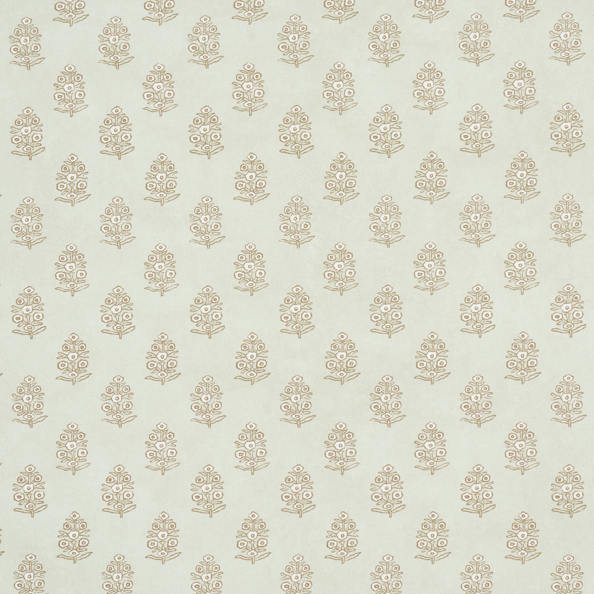 ADITI-SAGE-SCHUMACHER-5011934