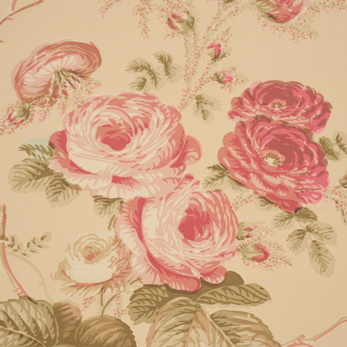 Salisbury - Butter - Schumacher 5012063 Wallpaper - Schumacher Wallpaper