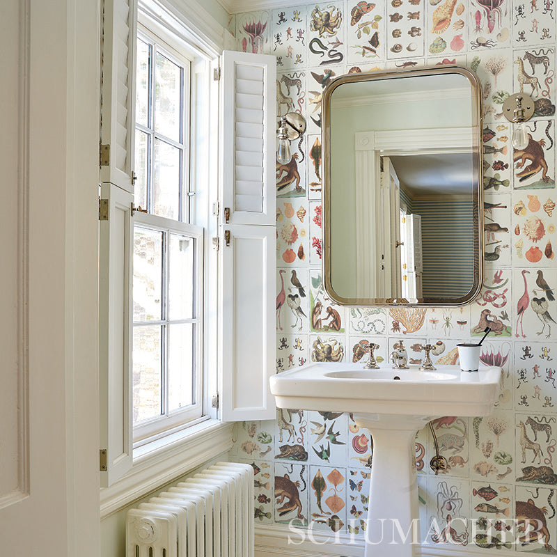 BAUHIN-SOFT-MULTI-SCHUMACHER-5012091