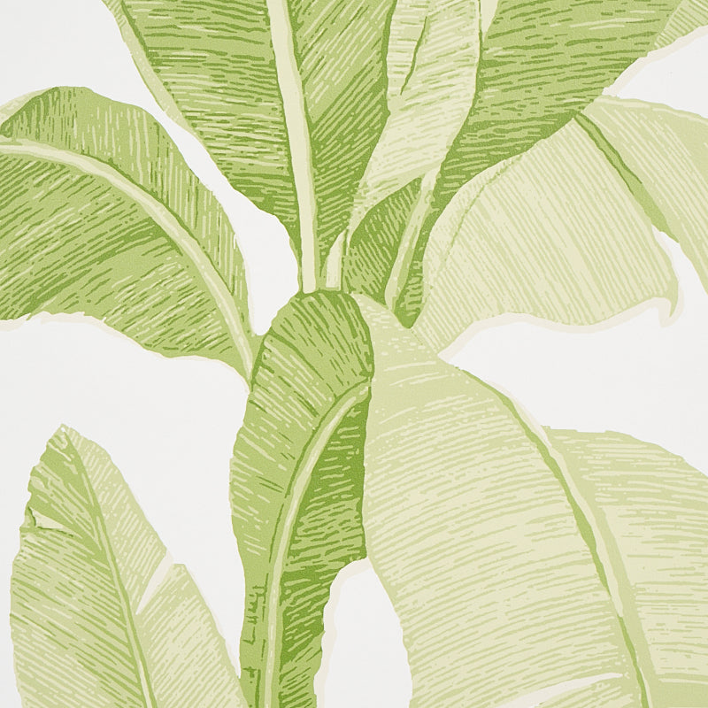 Erisimo Leaf wallpaper by Schumacher, 5012110 — view 3 - Schumacher Papel pintado