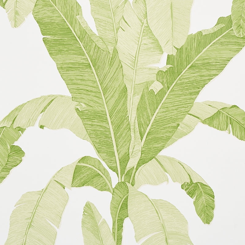 Erisimo Leaf wallpaper by Schumacher, 5012110 - Schumacher Papel pintado