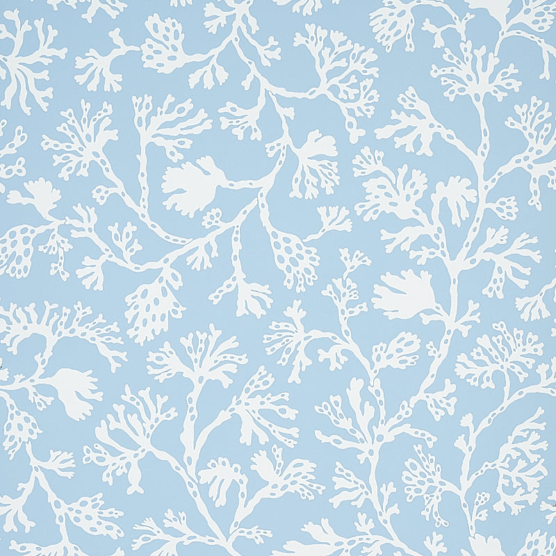 Anthoza Sky wallpaper by Schumacher, 5012130 - Schumacher Wallpaper