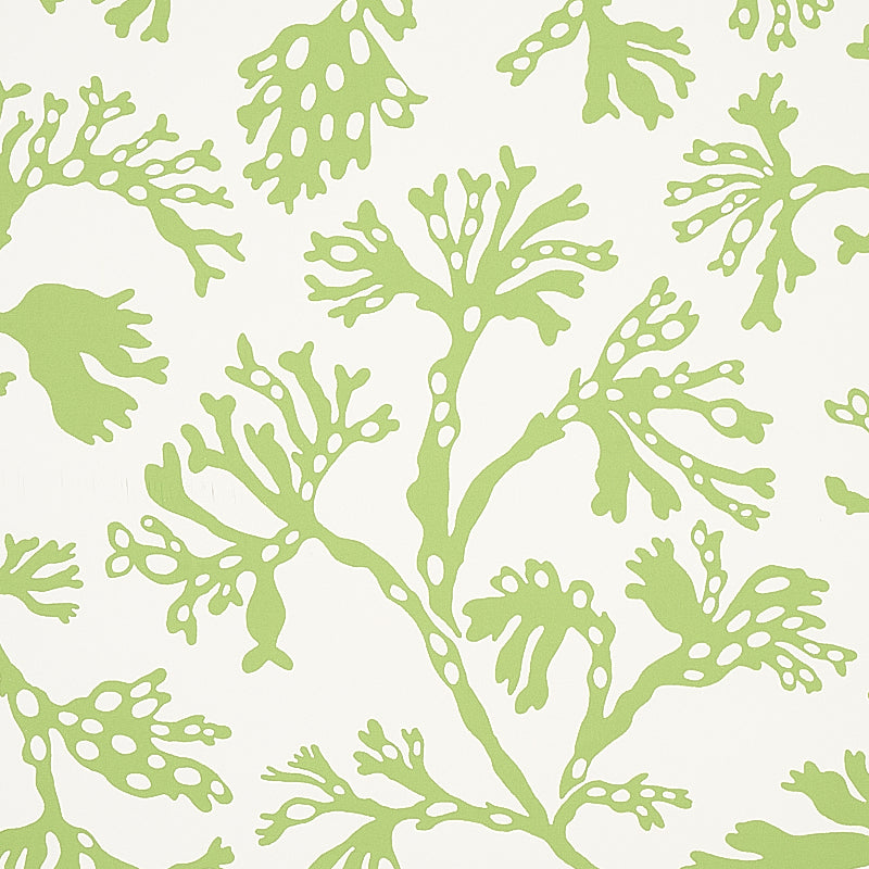 Anthoza Green wallpaper by Schumacher, 5012131 — view 3 - Schumacher Wallpaper