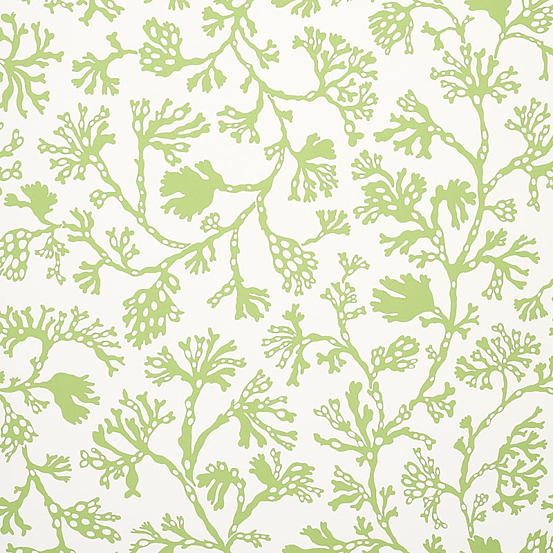 Anthoza Green wallpaper by Schumacher, 5012131 - Schumacher Wallpaper