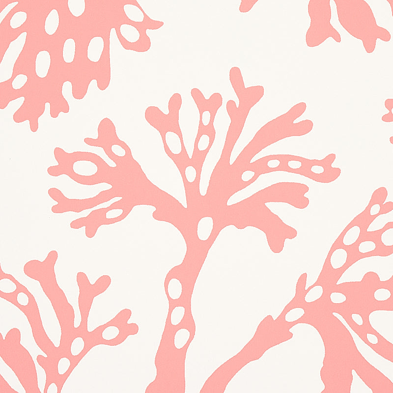 Anthoza Coral wallpaper by Schumacher, 5012132 — view 4 - Schumacher Wallpaper