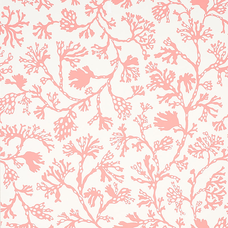 Anthoza Coral wallpaper by Schumacher, 5012132 - Schumacher Wallpaper
