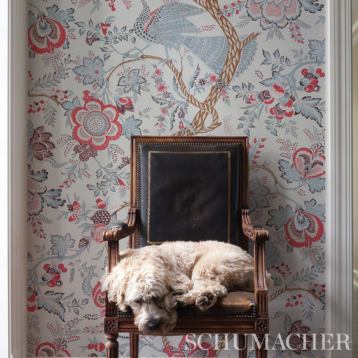 Aveline Rose wallpaper by Schumacher, 5013192 — view 5 - Schumacher Wallpaper
