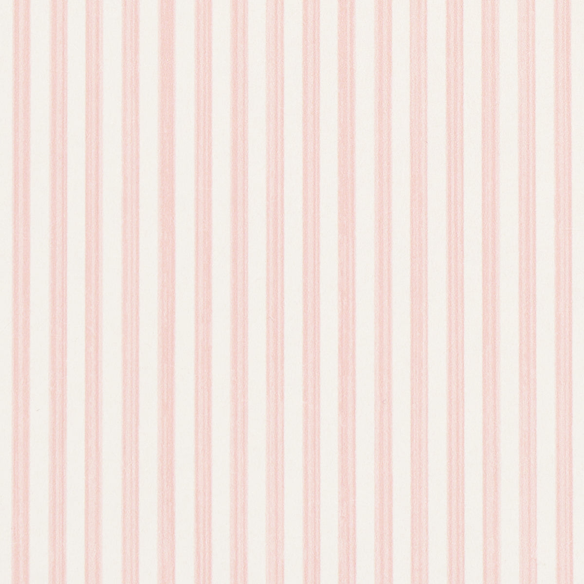 EDWIN-STRIPE-NARROW-PETAL-SCHUMACHER-5013600