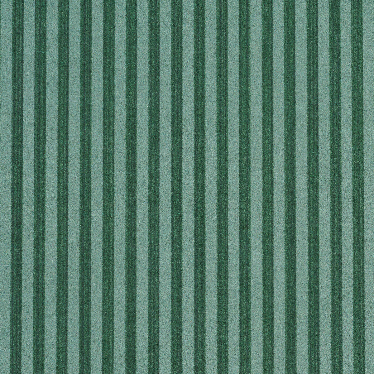 EDWIN-STRIPE-NARROW-DARK-GREEN-SCHUMACHER-5013603