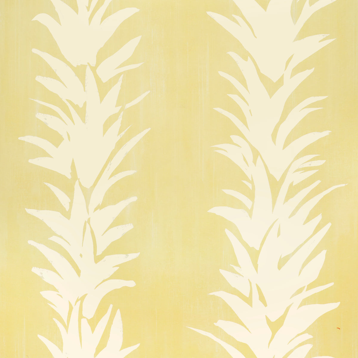 WHITE-LOTUS-LIGHT-YELLOW-SCHUMACHER-5013668