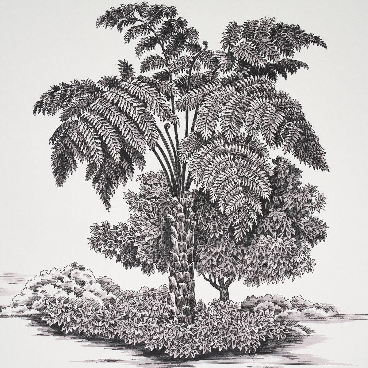 TOUSSAINT-TOILE-BLACK-ON-IVORY-SCHUMACHER-5013770