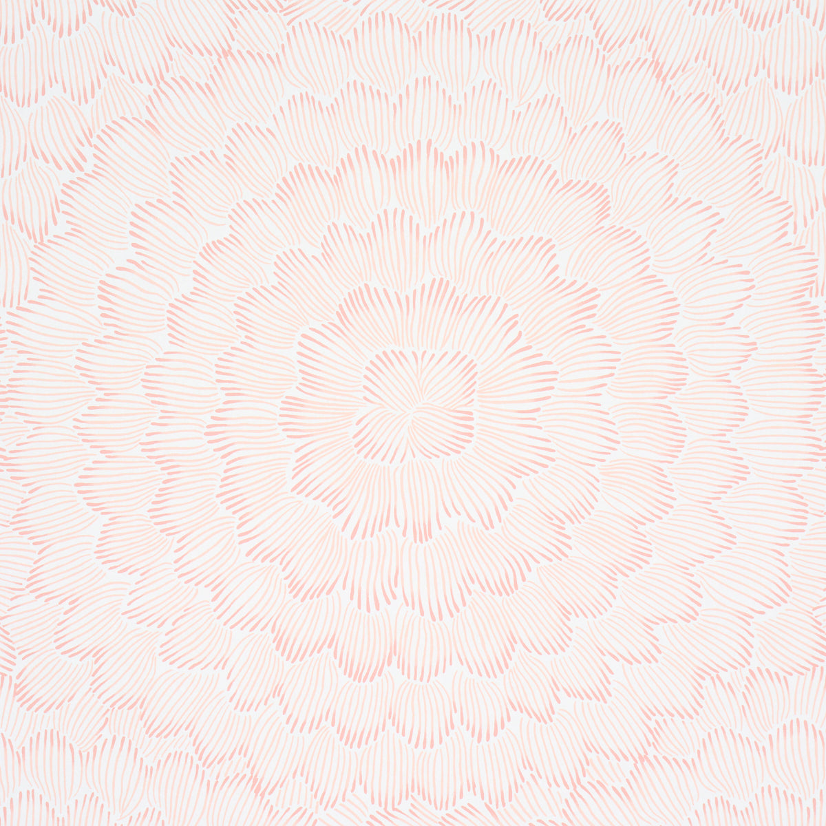 Feather Bloom - Salmon - Schumacher 5013823 Wallpaper - Schumacher Wallpaper