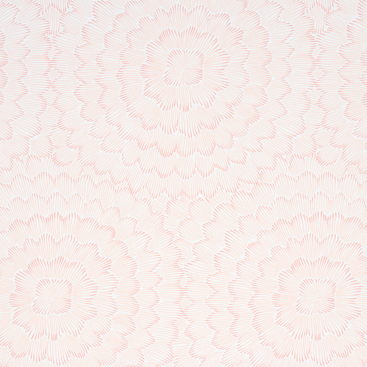 Feather Bloom - Salmon - Schumacher 5013823 Wallpaper - Schumacher Wallpaper