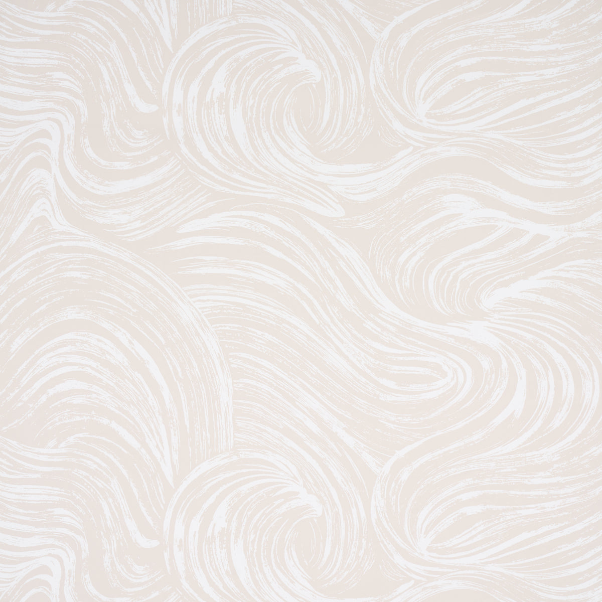 SHIO-NEUTRAL-SCHUMACHER-5013854