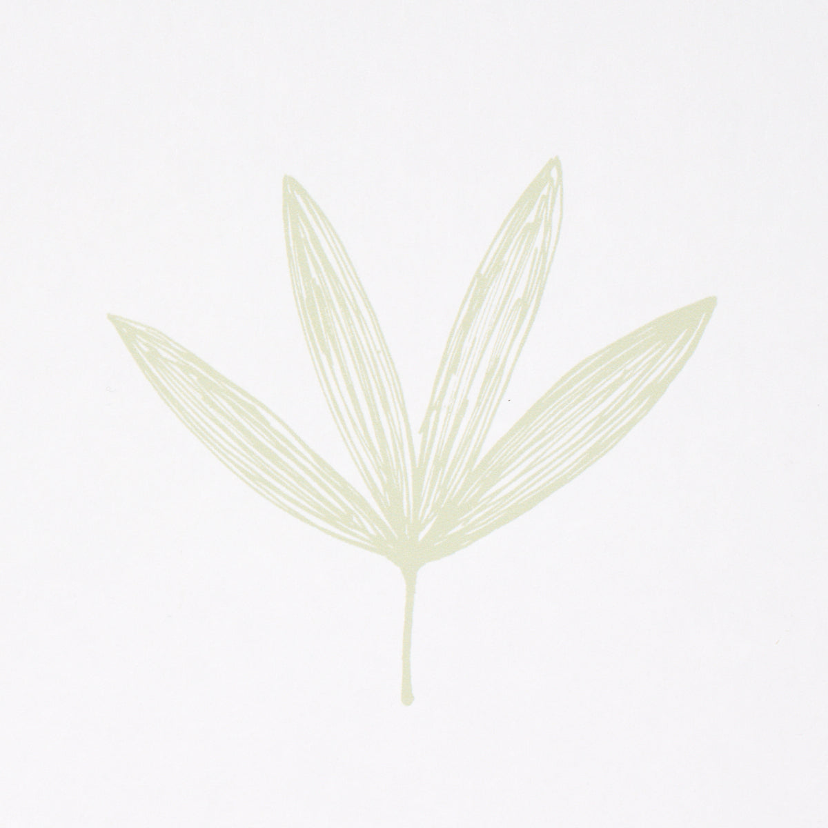 RUE-GREEN-SCHUMACHER-5013921