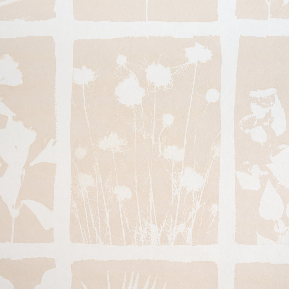 CYANOTYPE-PANEL-NATURAL-SCHUMACHER-5013971