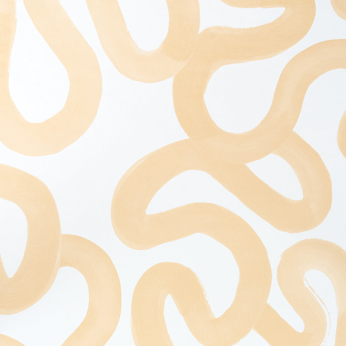 TRACE-OCHRE-SCHUMACHER-5013993